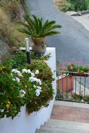 Property grounds - B&B La Casa Rossa (Paola)