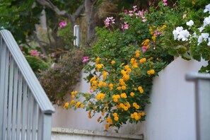 Property grounds - B&B La Casa Rossa (Paola)