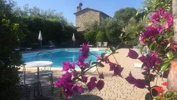 Hồ bơi ngoài trời phục vụ theo mùa, dù/ô trên bãi biển/hồ bơi