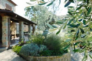 Exterior detail - Podere Jana (Vinci)