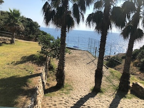 Una playa arenosa con palmeras y vista al mar.