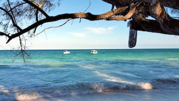 White sand, 4 beach bars