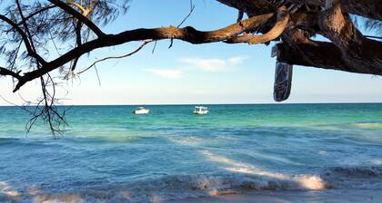 Jamboland-Diani