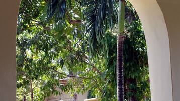 Villa Papaya, 3 Bedrooms | Terrace/patio