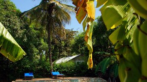 Una piscina con agua azul cristalina, rodeada de baldosas de piedra y un muro de piedra. Se observan dos sillas reclinables azules y una palmera al fondo.