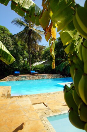 Outdoor pool, open 7 AM to 6 PM, pool loungers - Jamboland-Diani (Diani Beach)