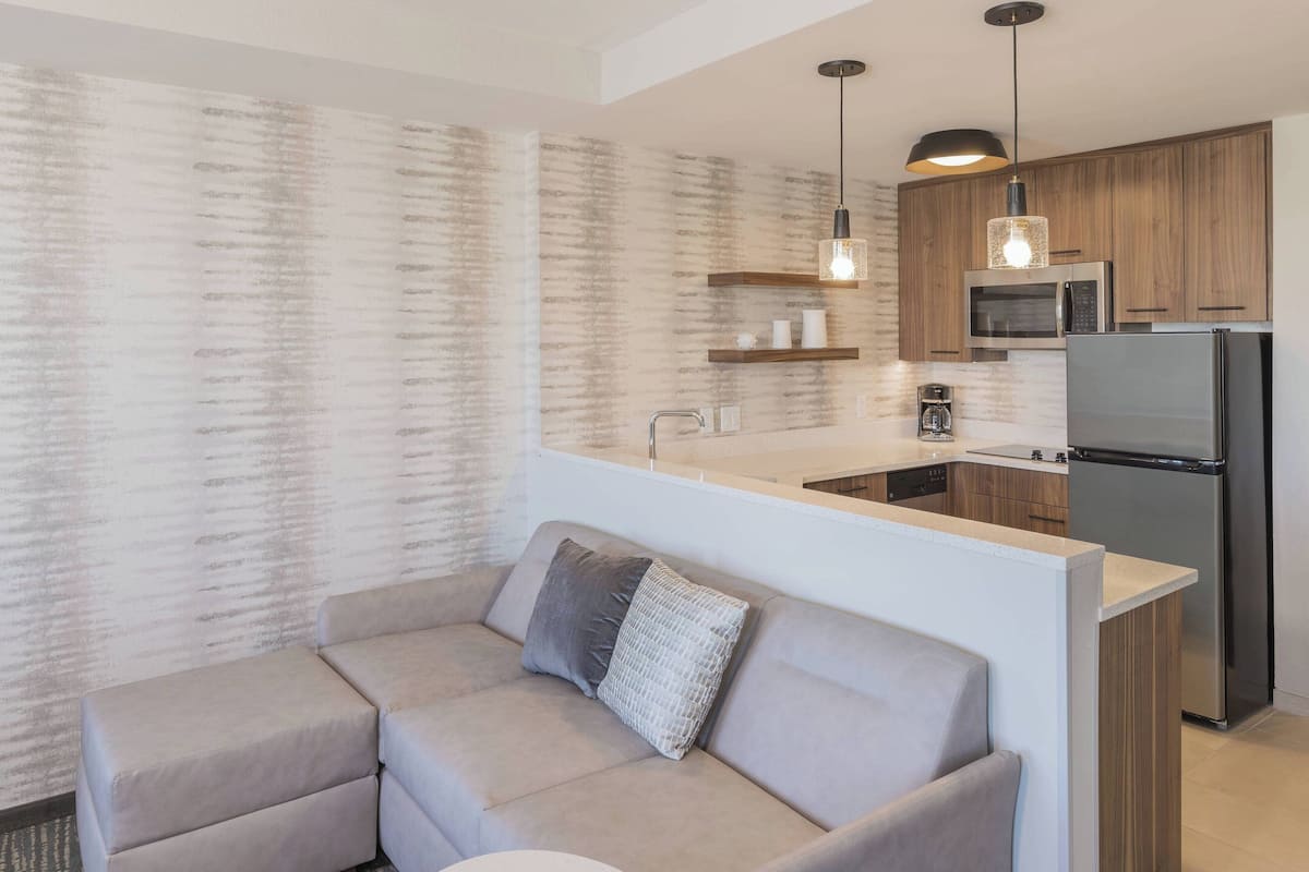 fridge, microwave, dishwasher, coffee/tea maker