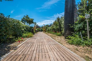A wooden pathway in a garden with various plants and trees. - B&B Le Dune (Lascari)