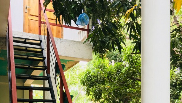 A staircase with a red handrail leading to a wooden door.