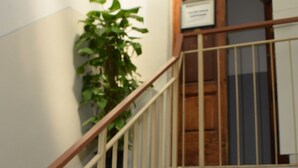 A staircase with a wooden handrail and a potted plant beside it.