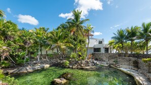 A clear pool surrounded by tropical vegetation and a stone wall.