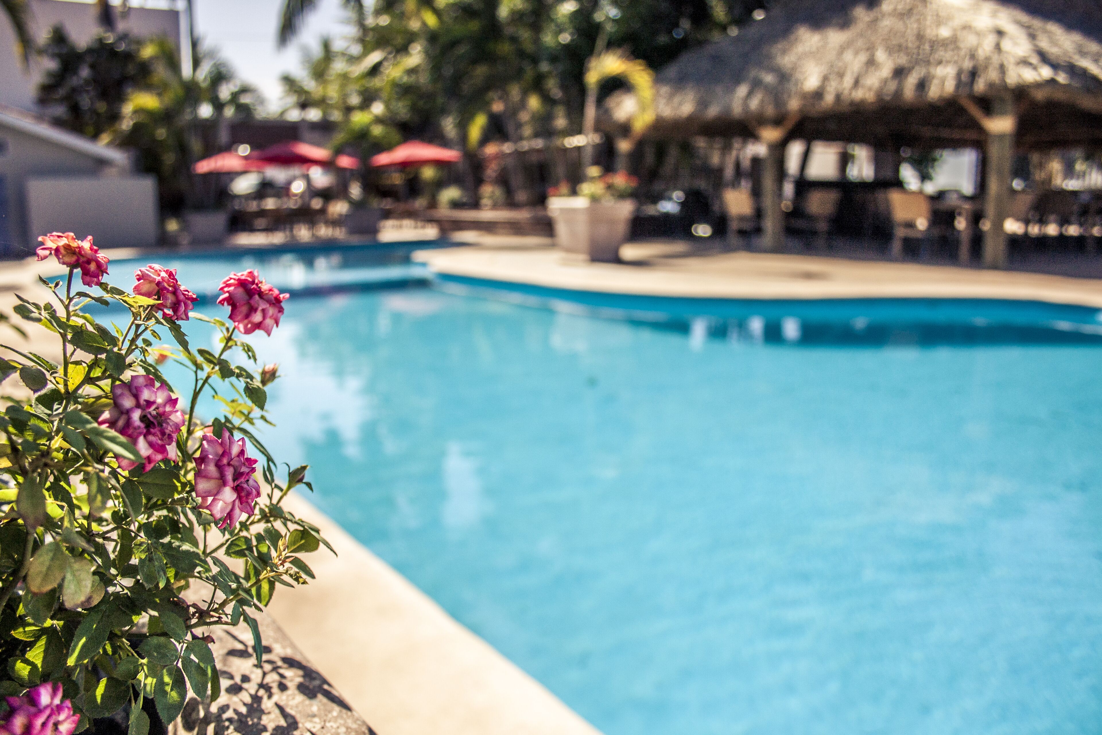outdoor pool, pool loungers