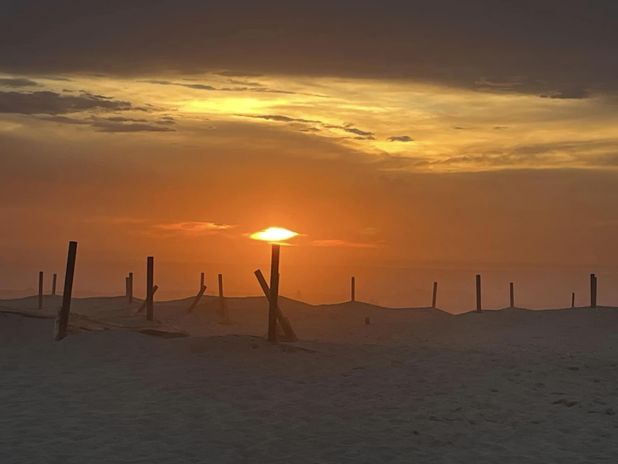 Un atardecer sobre un paisaje nevado con postes de madera.
