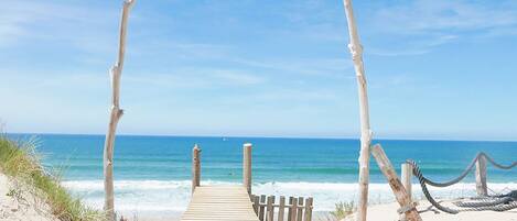 A wooden boardwalk leading to the beach with rope barriers and driftwood.