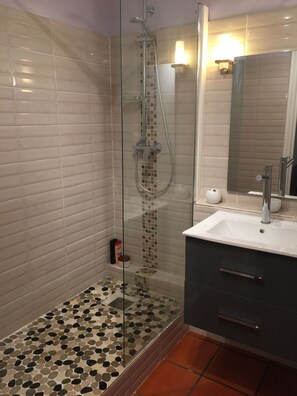 Shower, hair dryer, towels, toilet paper - STUDIO ANSE DES ROCHERS (saint françois)