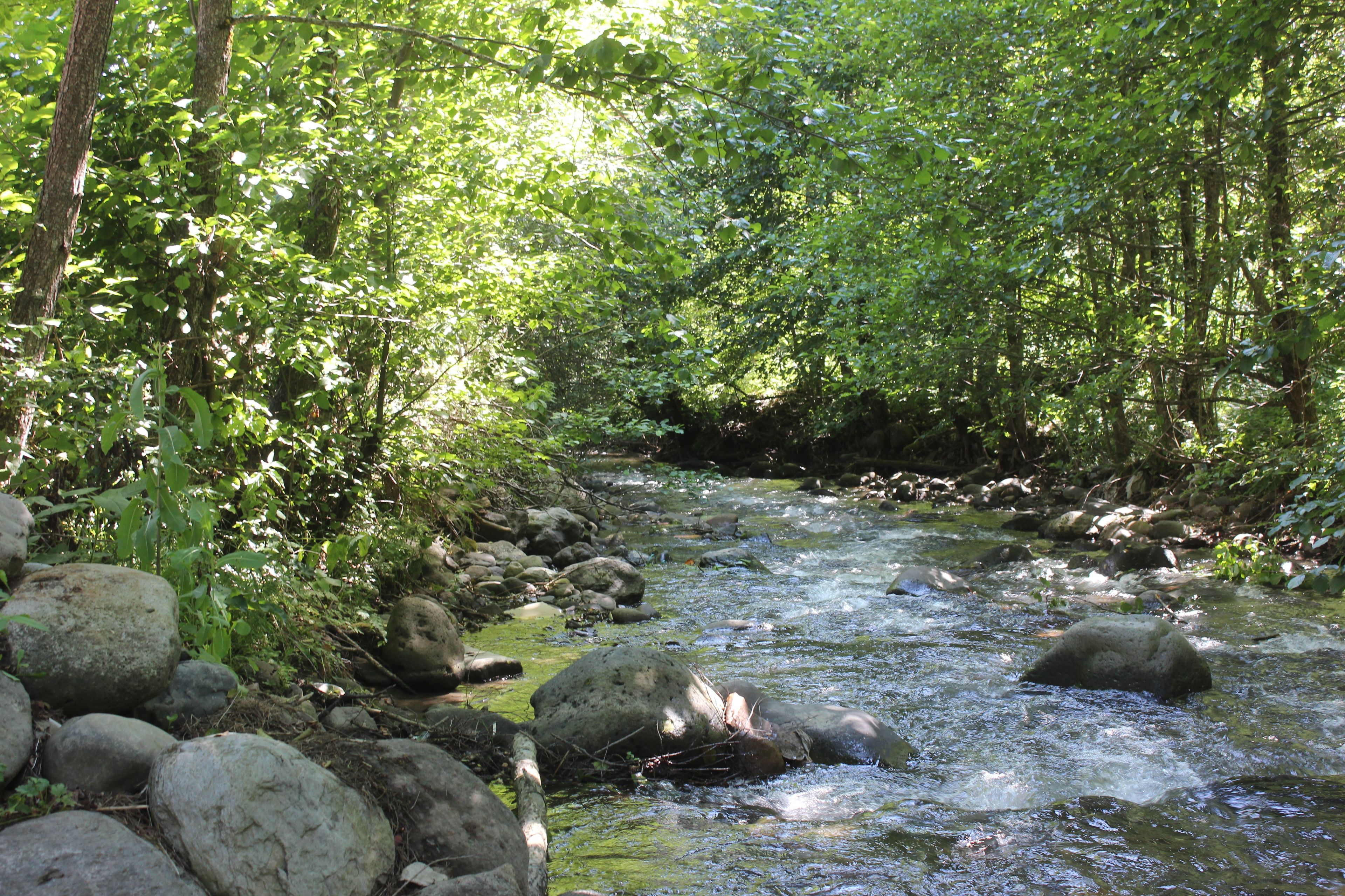 traditional bungalow | water view