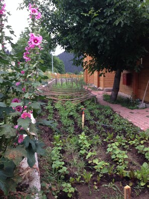 Garden - Velikoy Han Konaklari (Savsat)