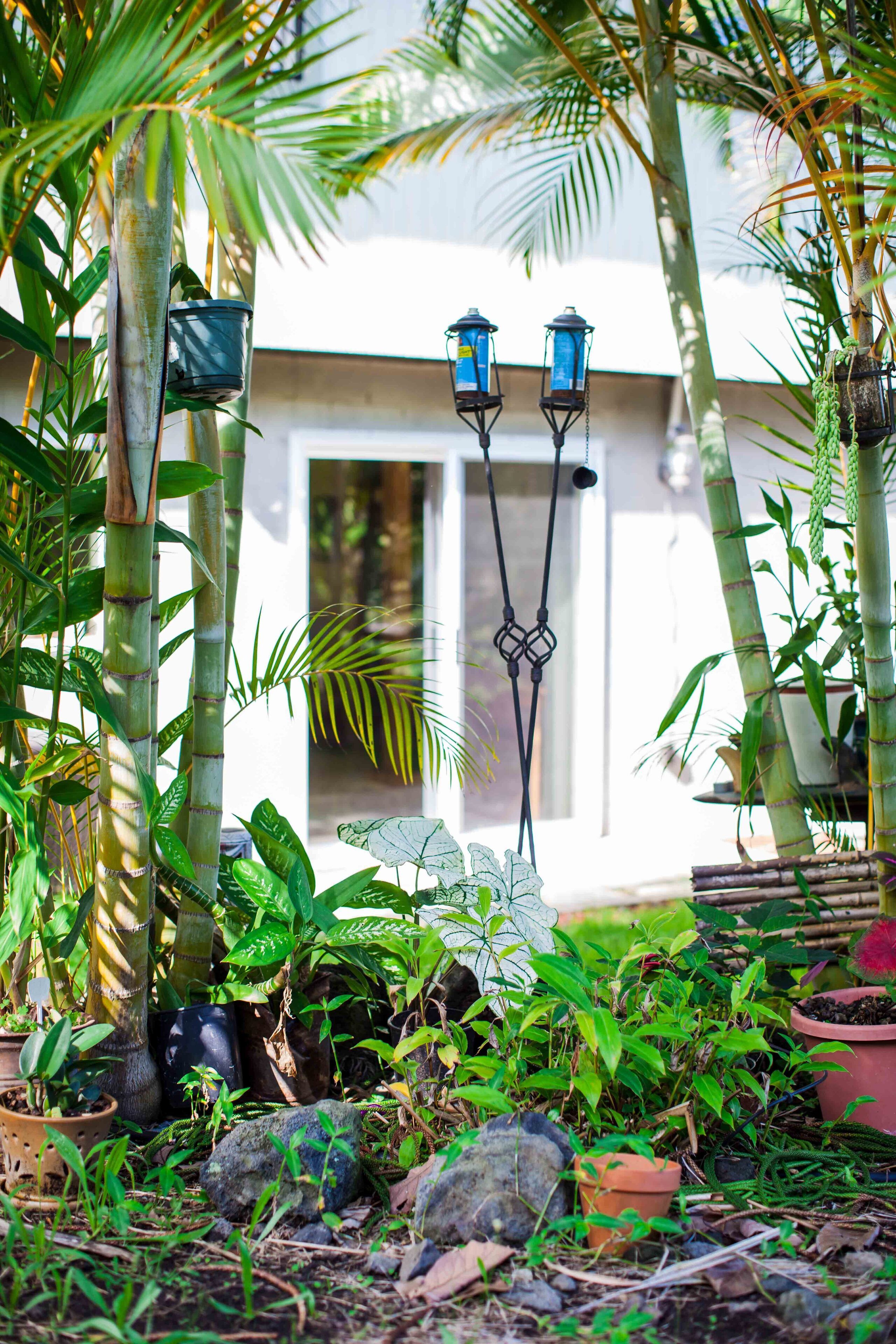 Kona Coast View Guest Apartment -long term renters welcome! - Photo 9