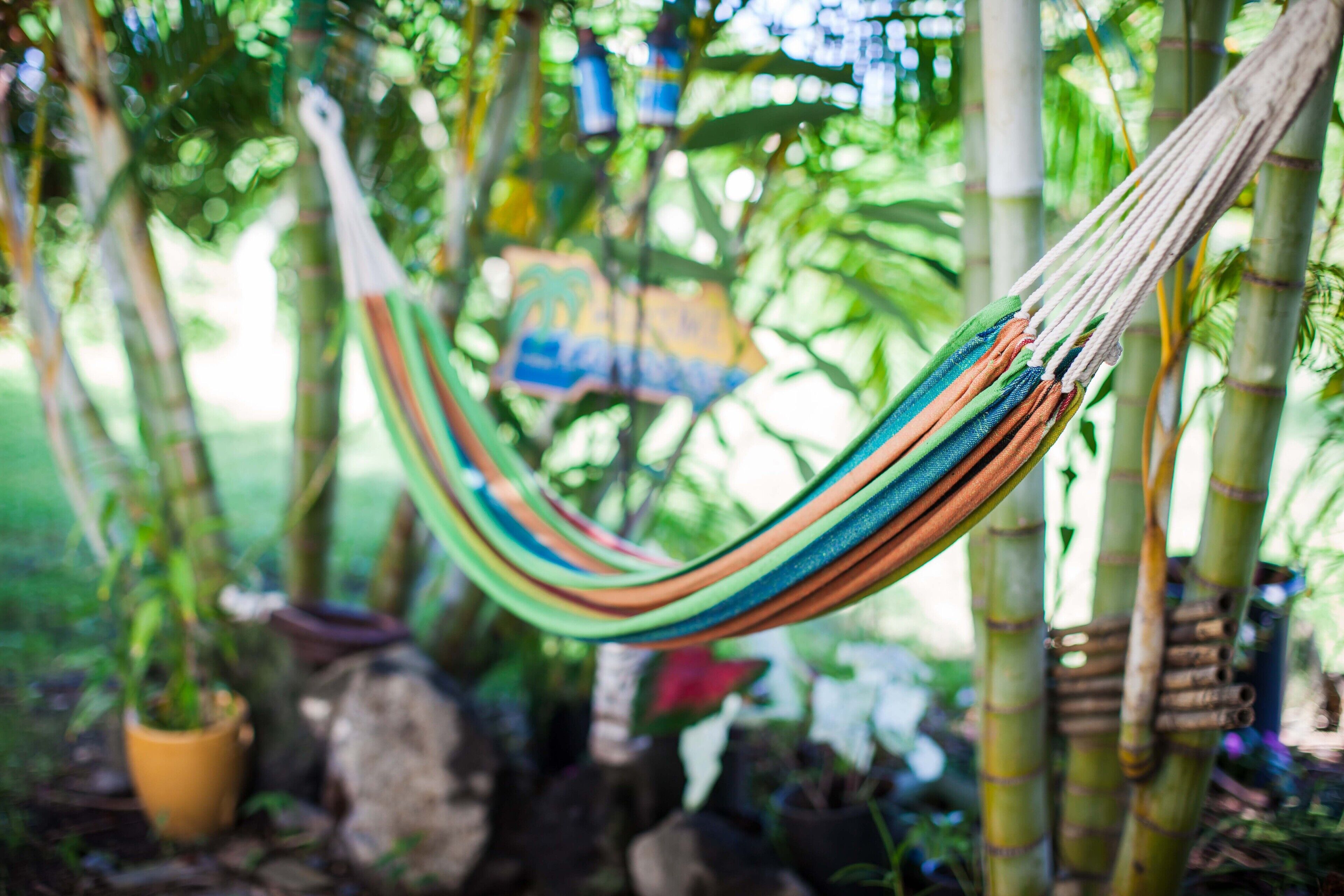 Kona Coast View Guest Apartment -long term renters welcome! - Photo 21