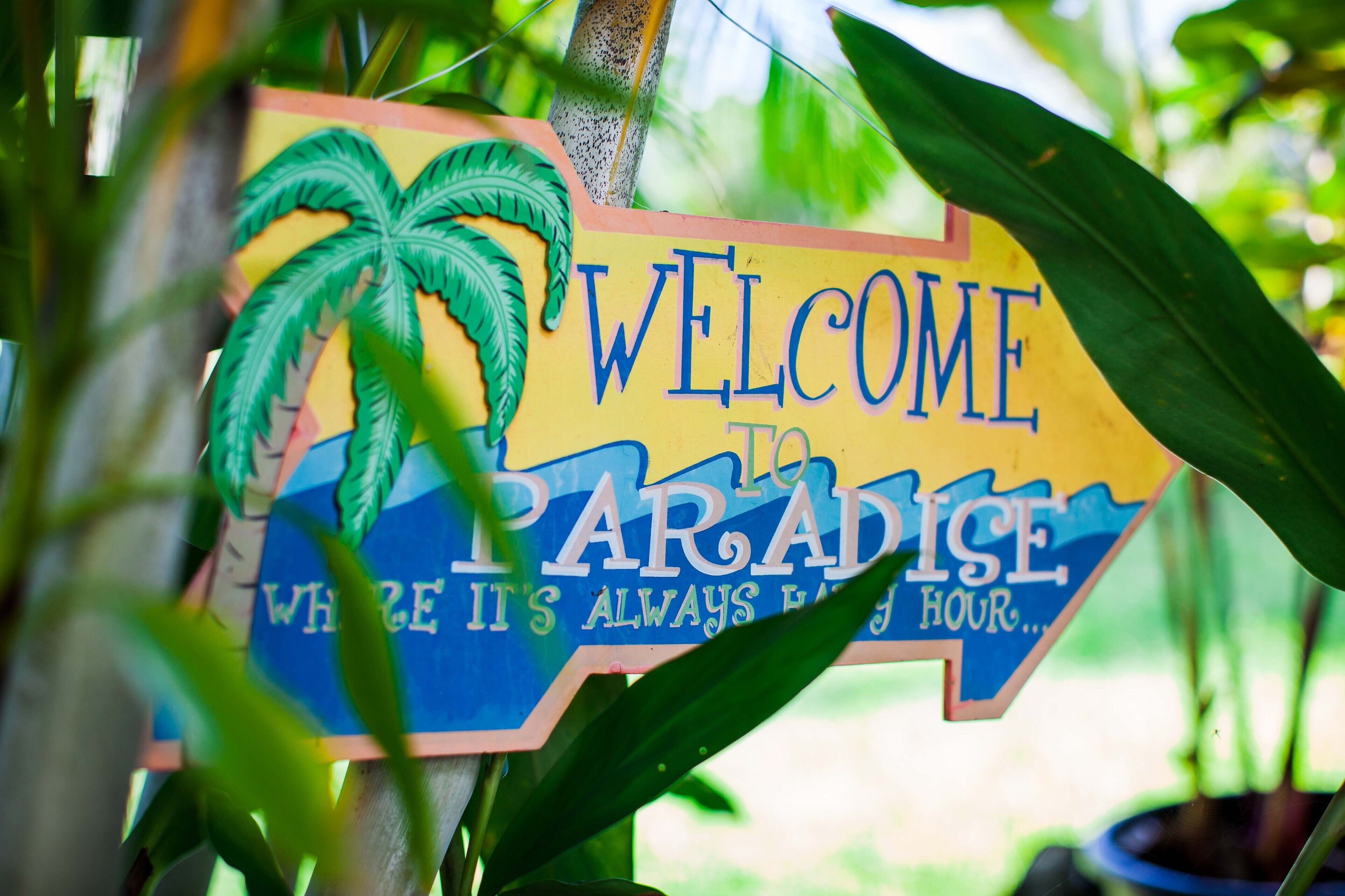 Kona Coast View Guest Apartment -long term renters welcome! - Photo 22