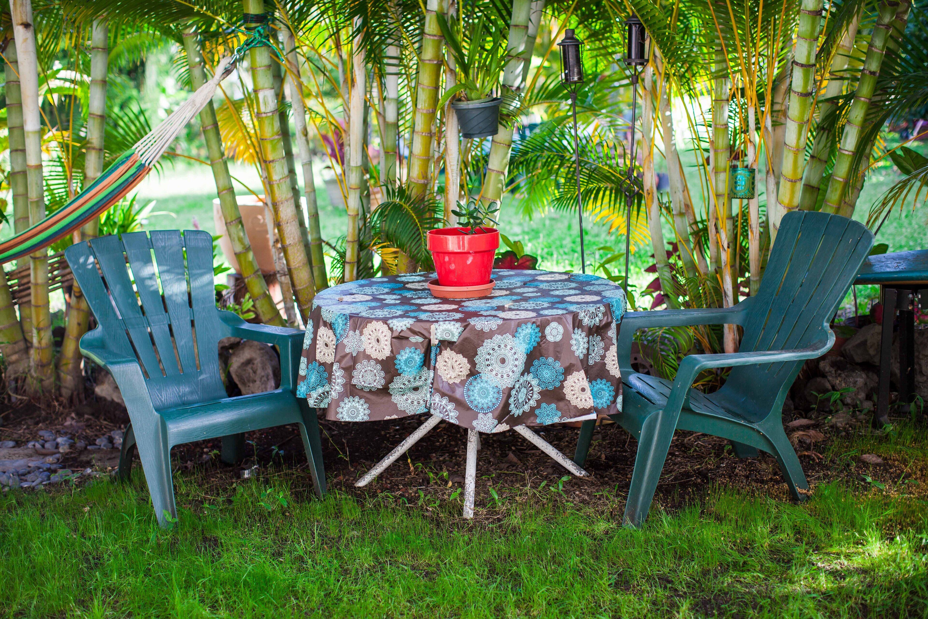 Kona Coast View Guest Apartment -long term renters welcome! - Photo 10