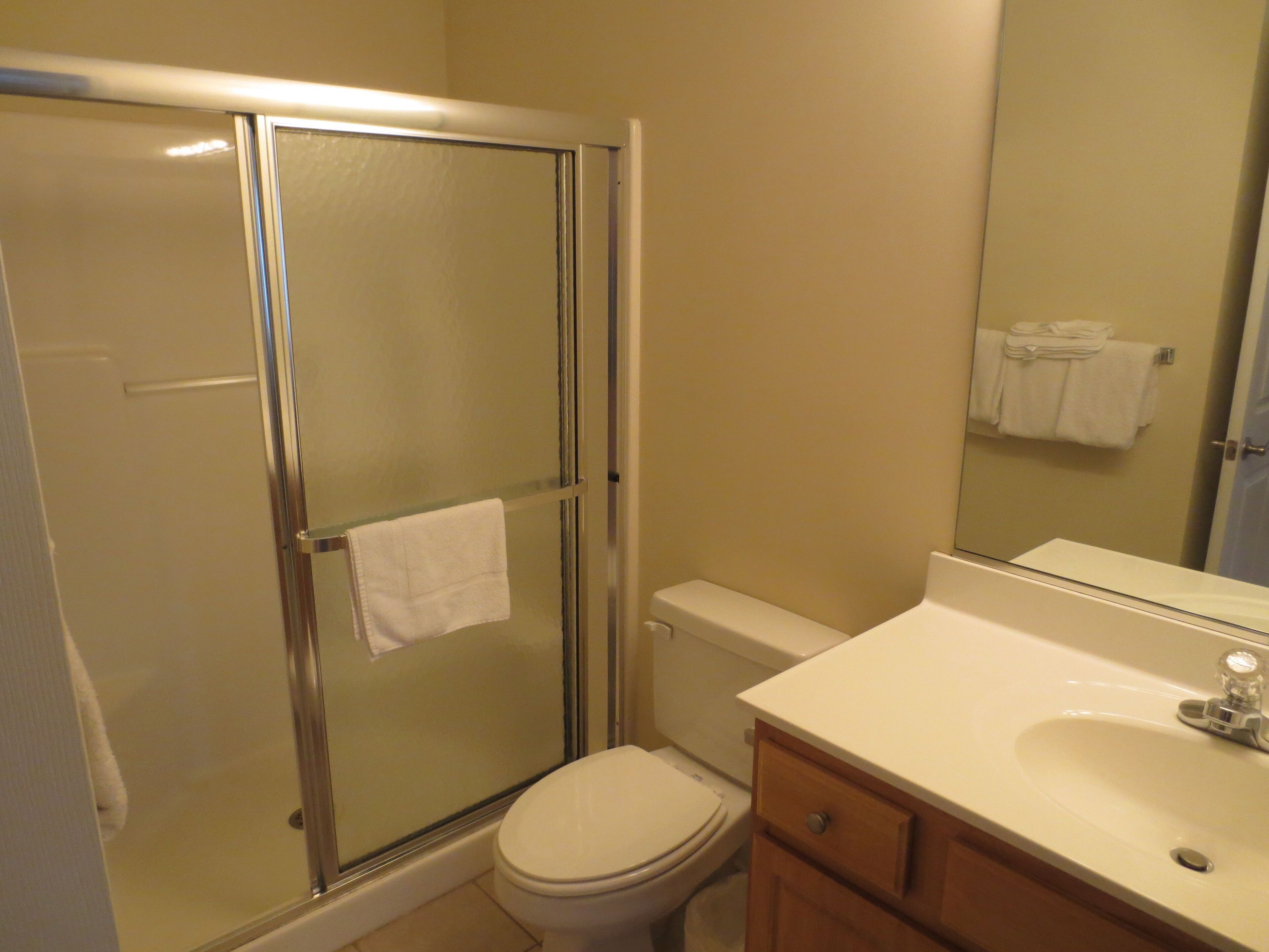 A bathroom with a glass-enclosed shower, a toilet, and a sink with a mirror above it.