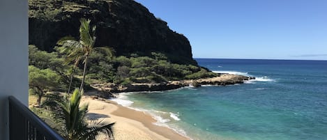 Plage, chaises longues, serviettes de plage