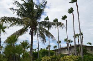 Condo, 2 Bedrooms | Exterior - Westbay Point Moorings 214 2 Bedroom Condo by RedAwning (Holmes Beach)