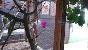 A birdcage with a pink feeder, a wooden structure, and a mesh fence. - Assaf's Cabin (Mateh Asher)