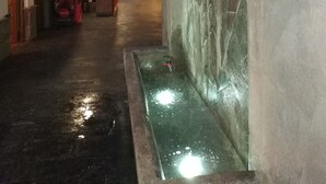 庭園