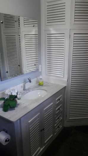 A bathroom with a white sink, a mirror, a toilet paper holder, and a green plant. - Casa Condomínio Geribá (Búzios)