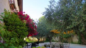 An outdoor patio with a table and chairs, surrounded by lush greenery and flowering plants. - St. Vincent Guest House - Bethlehem (Bethlehem)