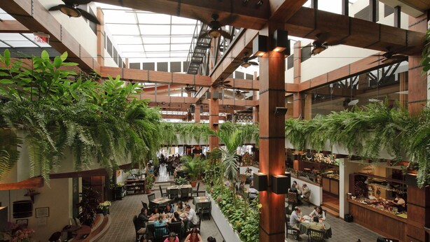 A spacious indoor area with multiple dining tables and chairs, surrounded by lush green plants and wooden beams. - Balmoral Suites (San José)
