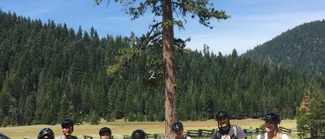 A group of people with bicycles in a parking lot with a large tree and forested hills in the background.