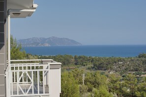 Vista dalla struttura