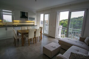 32-inch LED TV with satellite channels, TV, Netflix