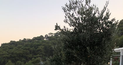 Begonville Apartment Villa Sarigerme