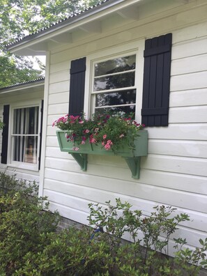 Exterior detail