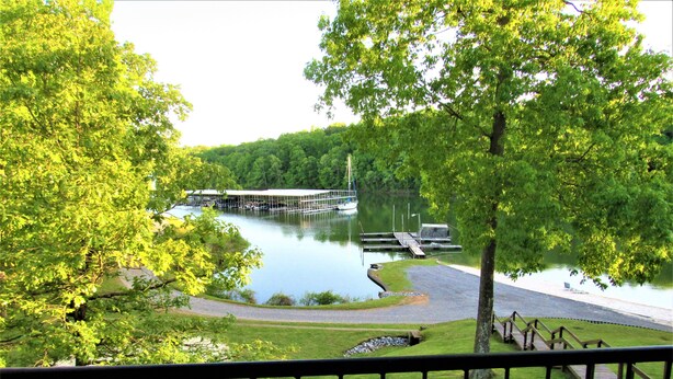 A lakeside view with a dock, grassy areas, and trees.