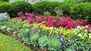 Un letrero que dice 'Kiawah Island' rodeado por un colorido jardín de flores.