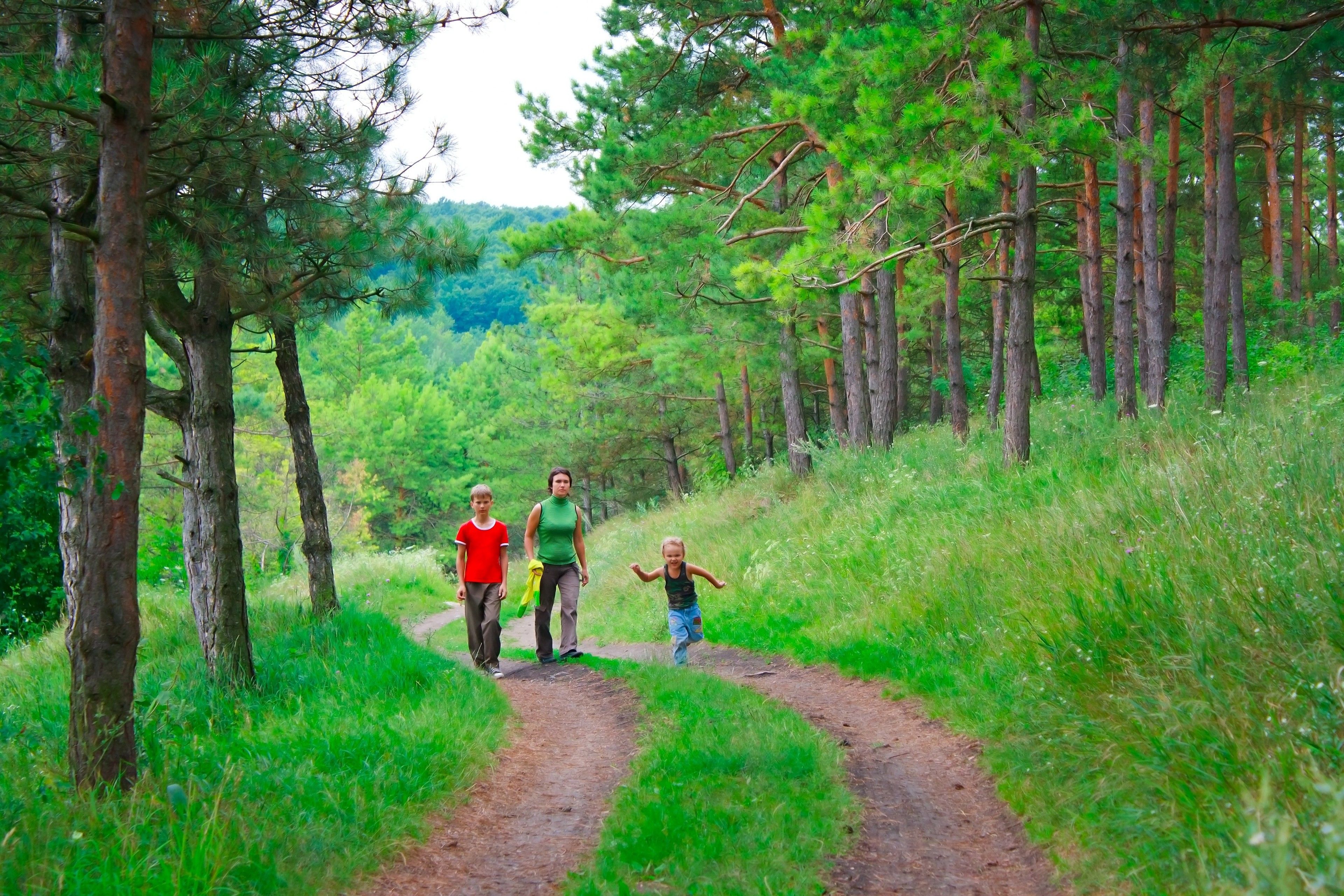 Hiking