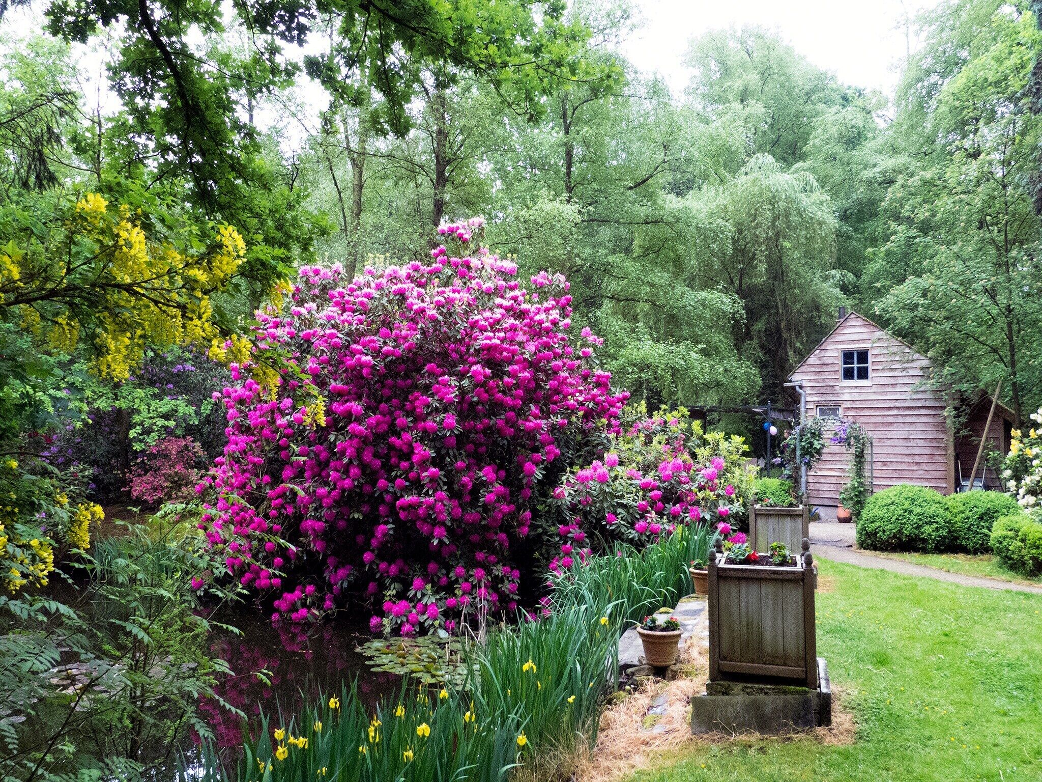 Jardin [été]