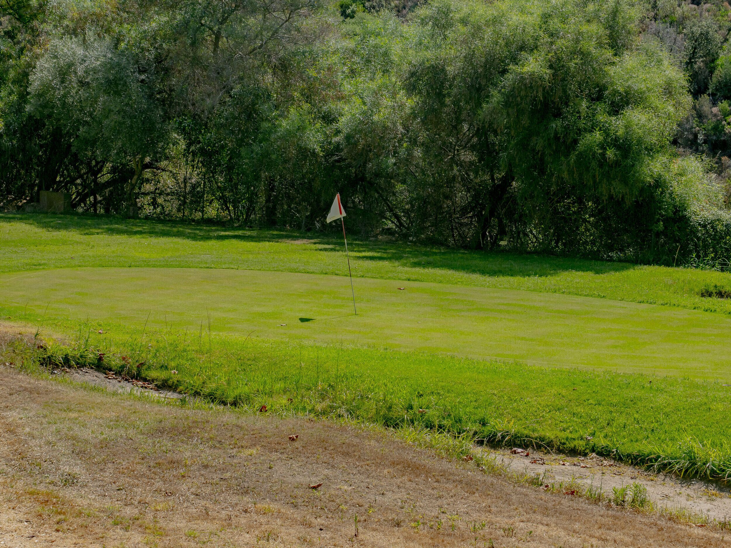 A golf course with a flagstick in the center, surrounded by dense trees and grassy areas.