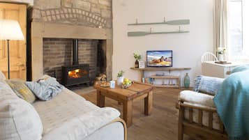 TV, fireplace, DVD player, books