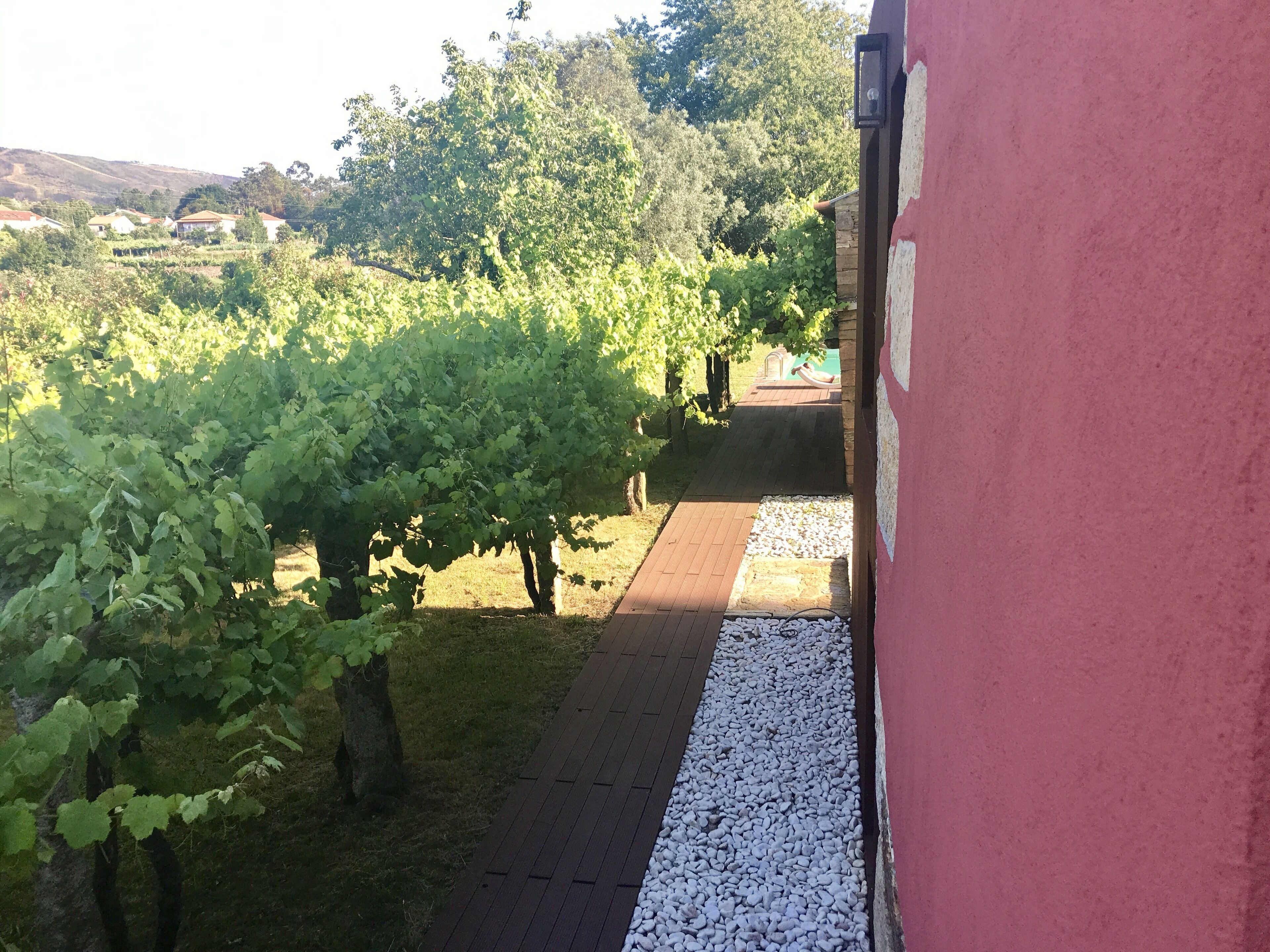 Vista sobre vinhedos e passadiço em deck que dão acesso à piscina