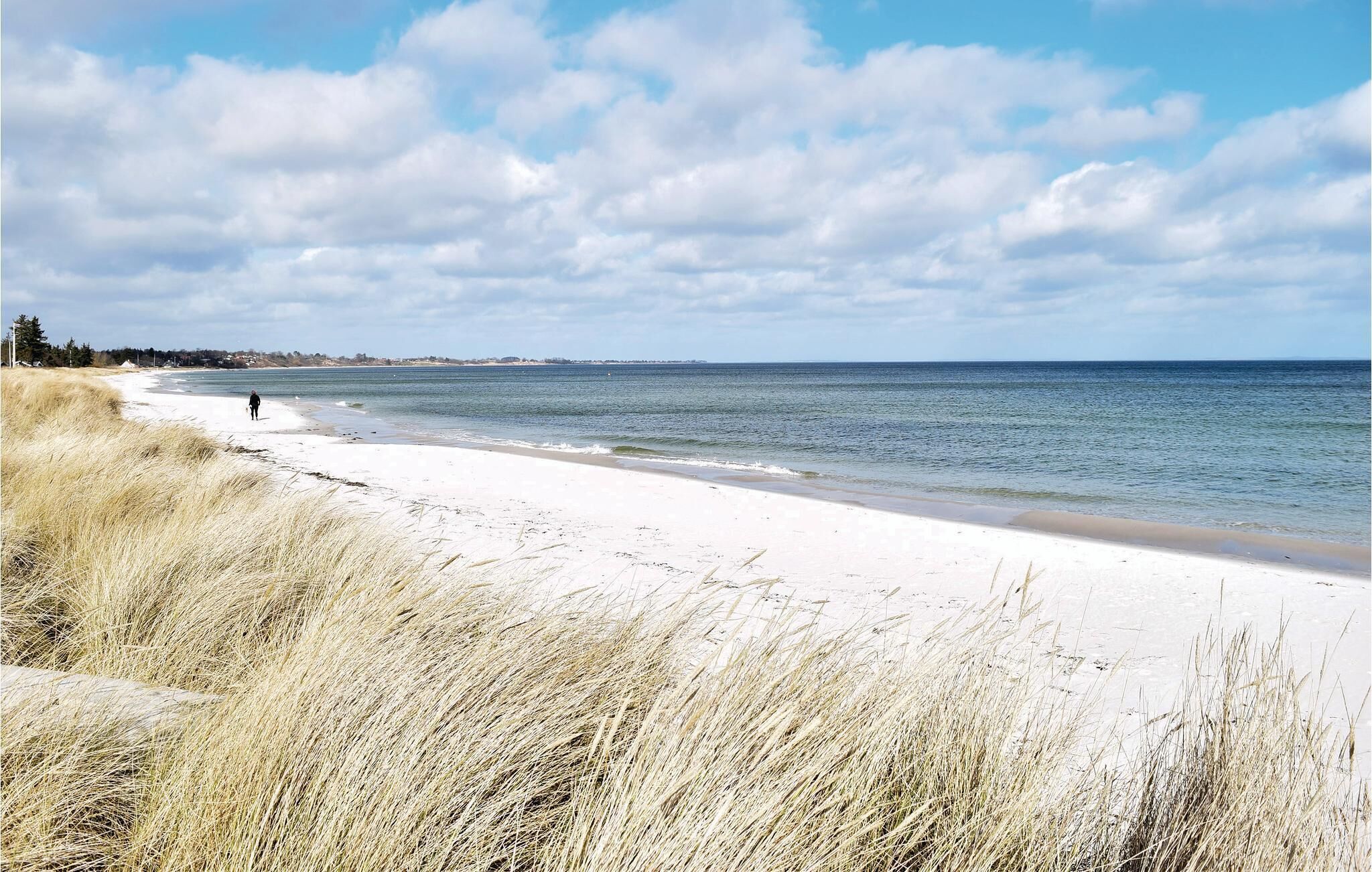 Tæt på stranden, fiskeri