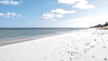 Playa en los alrededores y pesca