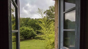 Blick durch ein Fenster auf einen üppigen Garten mit verschiedenen Bäumen und einem gepflegten Rasen.