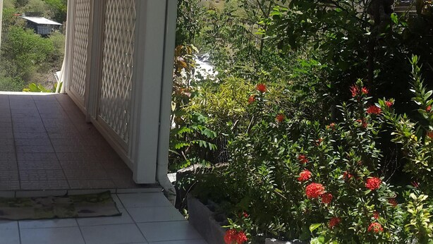 Un espacio al aire libre techado con suelo de hormigón, rodeado de abundante vegetación y plantas con flores.