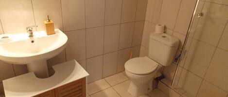 Une salle de bain comprenant un lavabo, des toilettes et un espace douche.